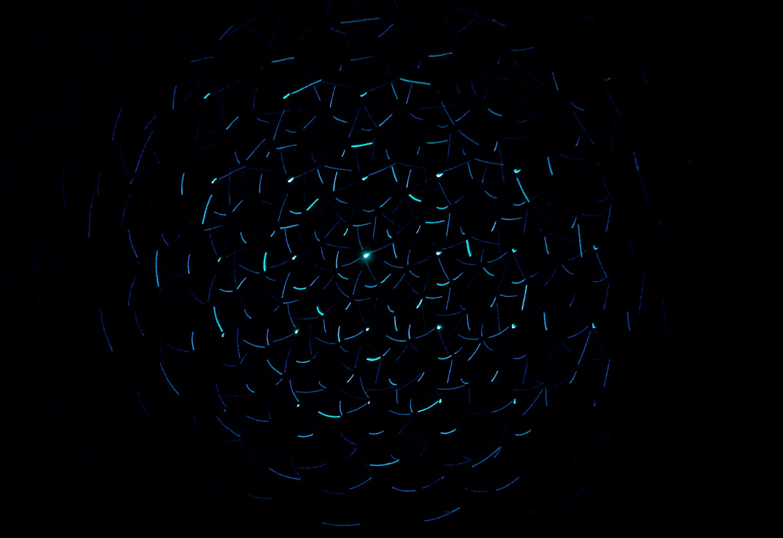 light decorations in dark area